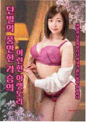 母亲的第二次青春 剧集海报